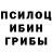 Галлюциногенные грибы Cubensis youlabrn S