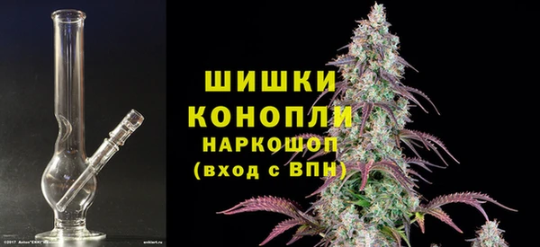 прущие грибы Киреевск