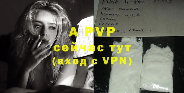 прущие грибы Киреевск