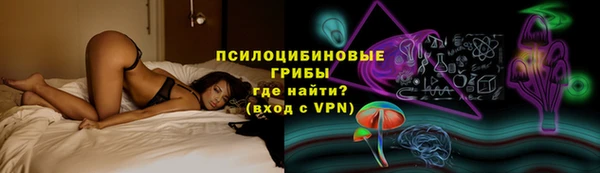прущие грибы Киреевск