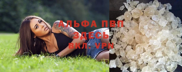 прущие грибы Киреевск