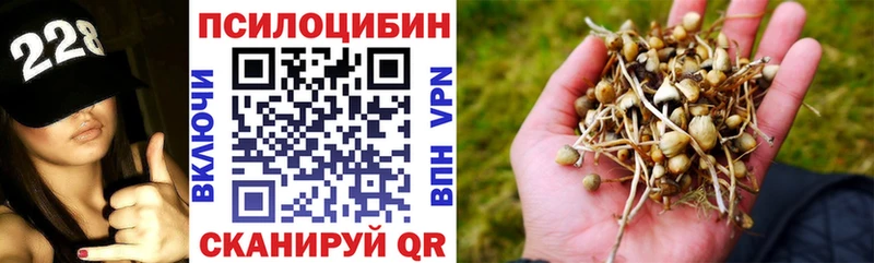 Купить  Большой Камень  Галлюциногенные грибы MAGIC MUSHROOMS 